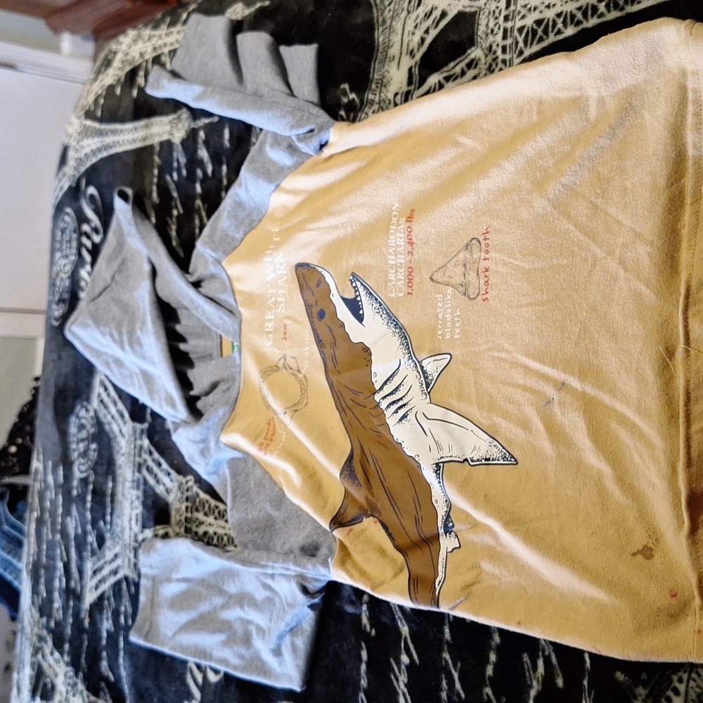 365Kids lone sleeve shark shirt size 6